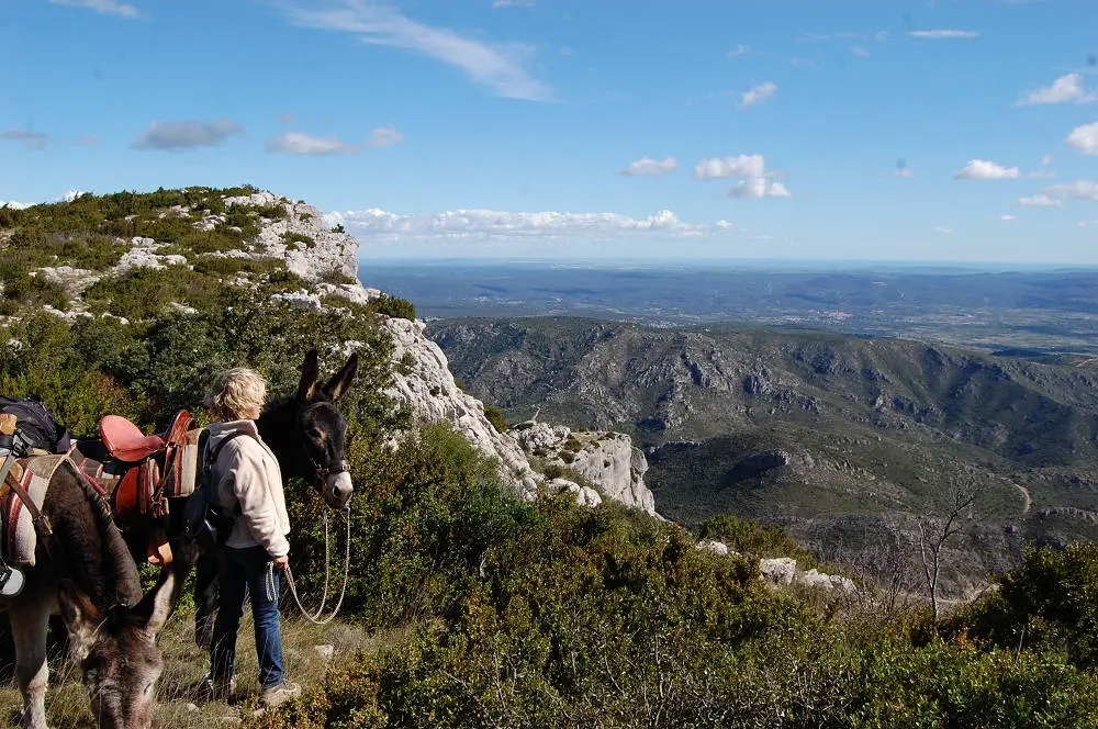 Larzac-Safrantours-04.JPG