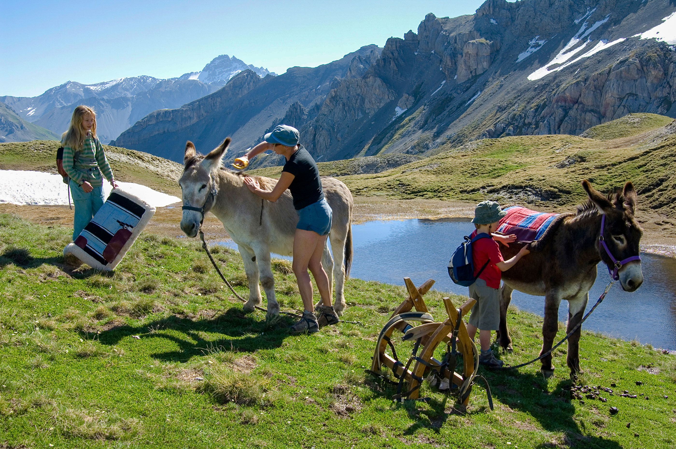 Trek - Les hauts villages du Queyras avec un âne