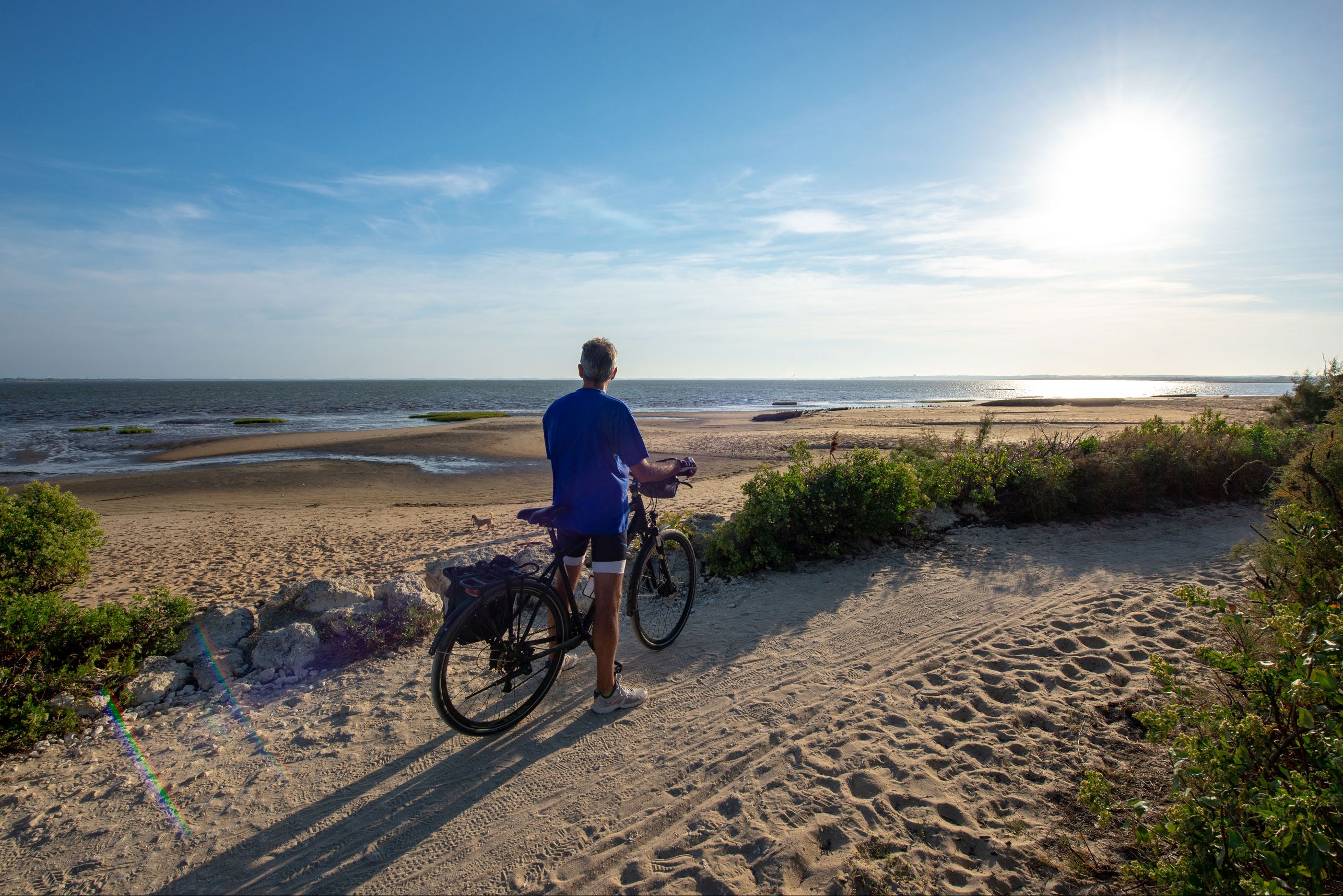 Séjour à vélo organisé Découvrez l'Ile d'Oléron Safran Tours