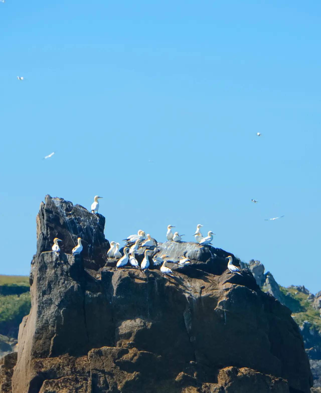 randonnee-bretagne-01.jpg
