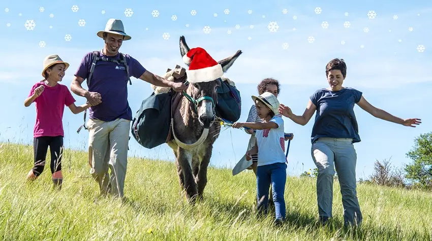 ane_noel_bd.jpg