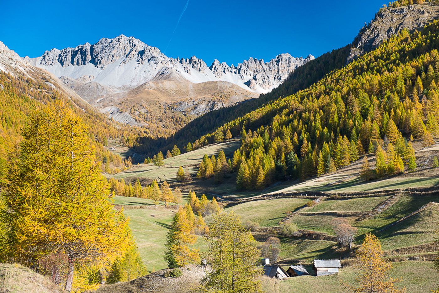 Randonnee-pedestre-Queyras-Safrantours-07.jpg