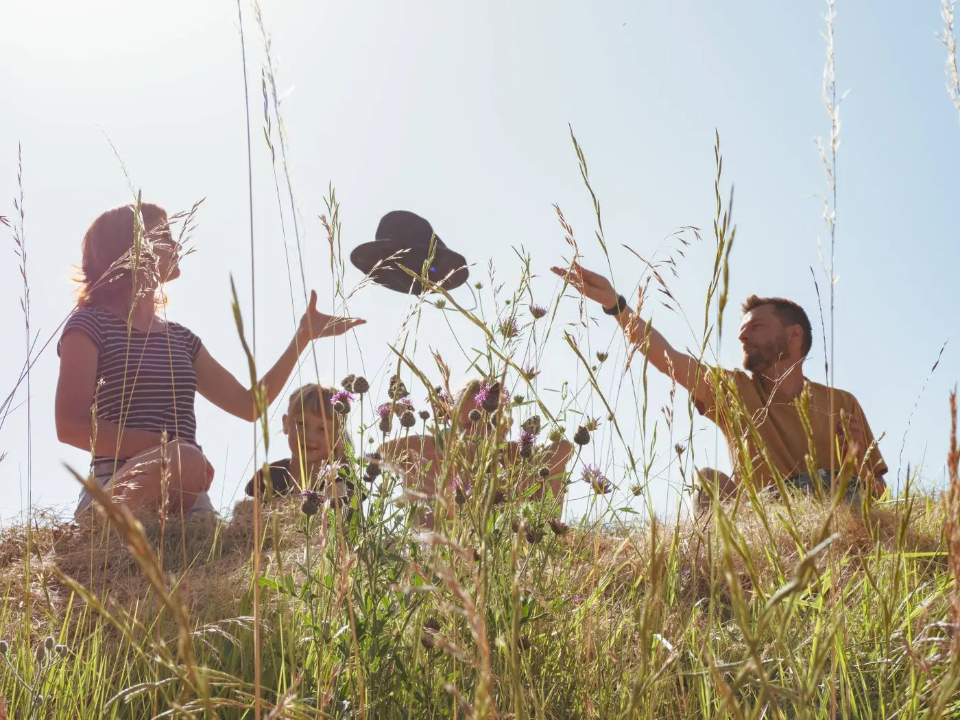 Nos coups de coeurs 01.jpg