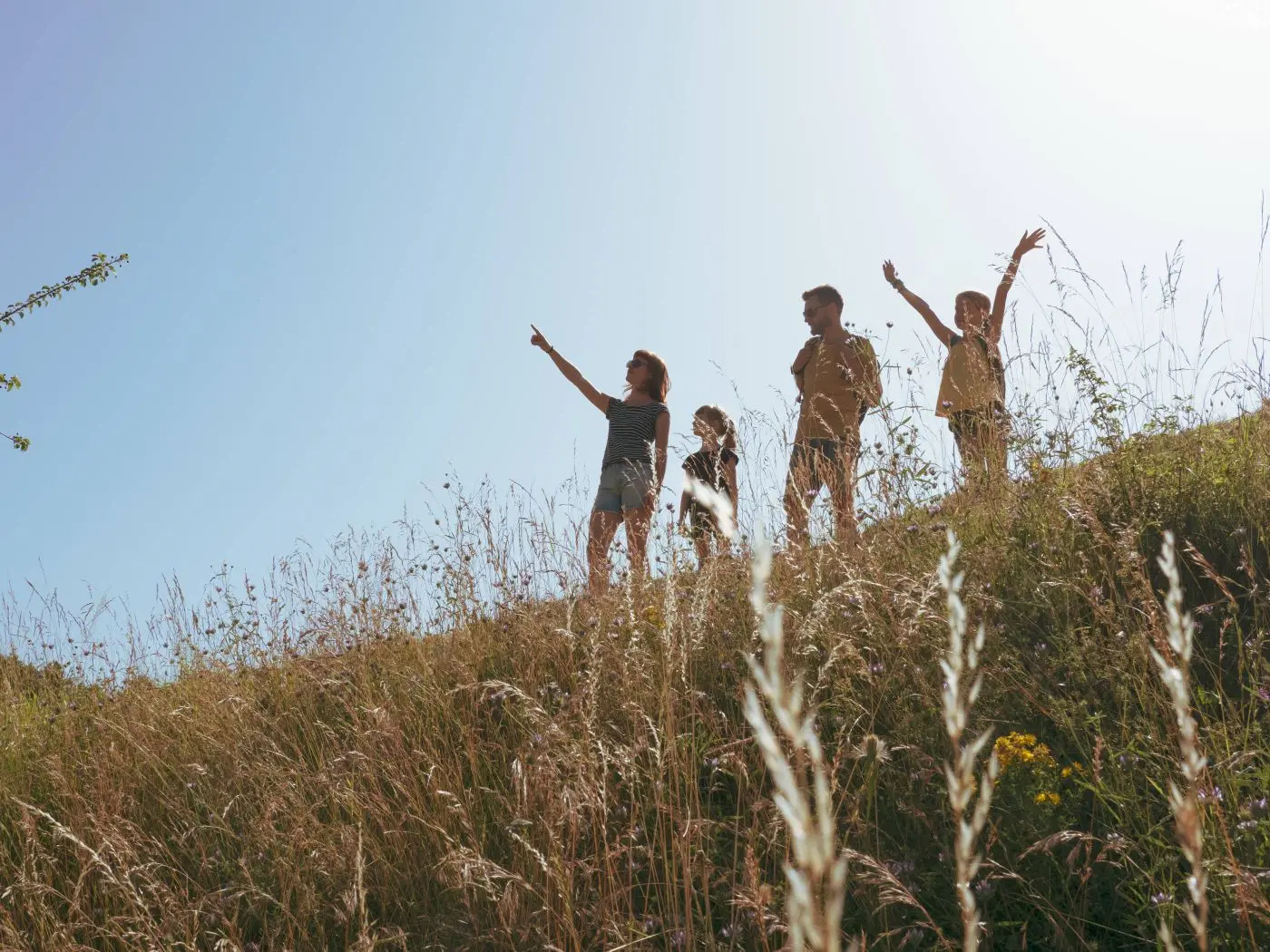 Nos coups de coeurs 03.jpg