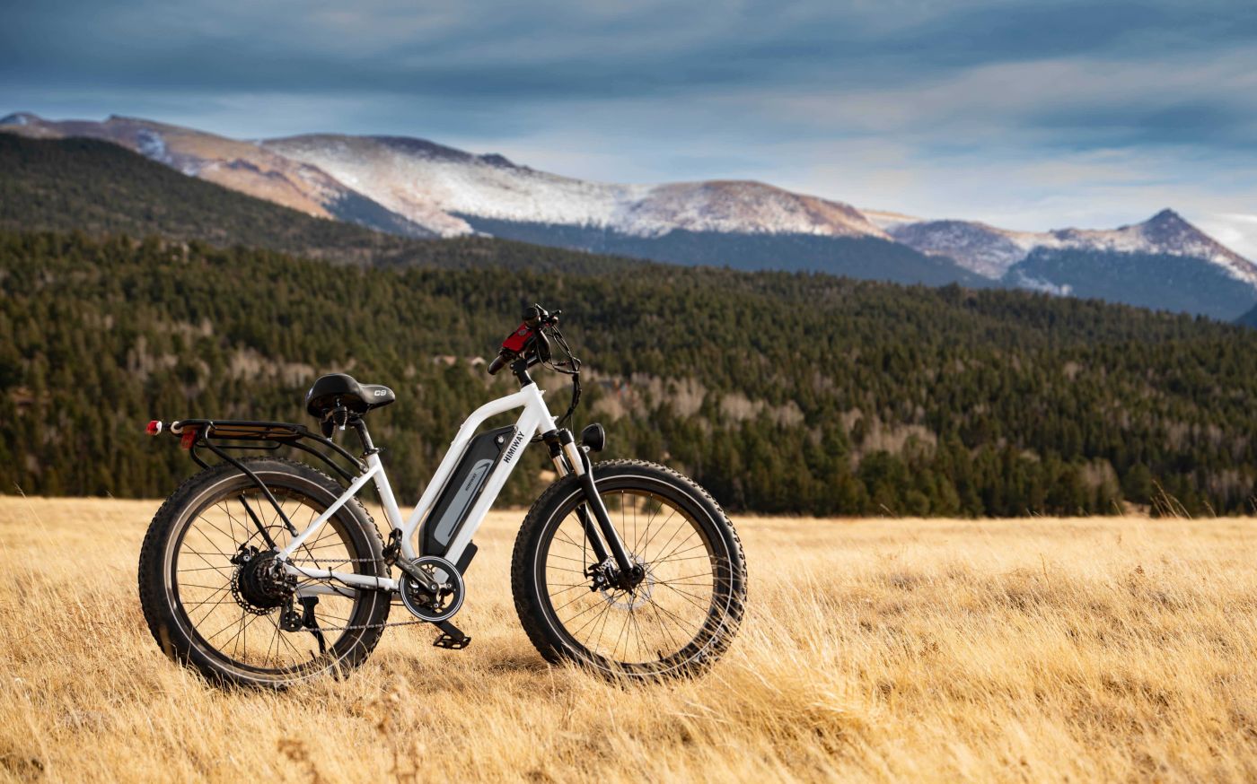 VAE-voyage-himiway-bikes.jpg