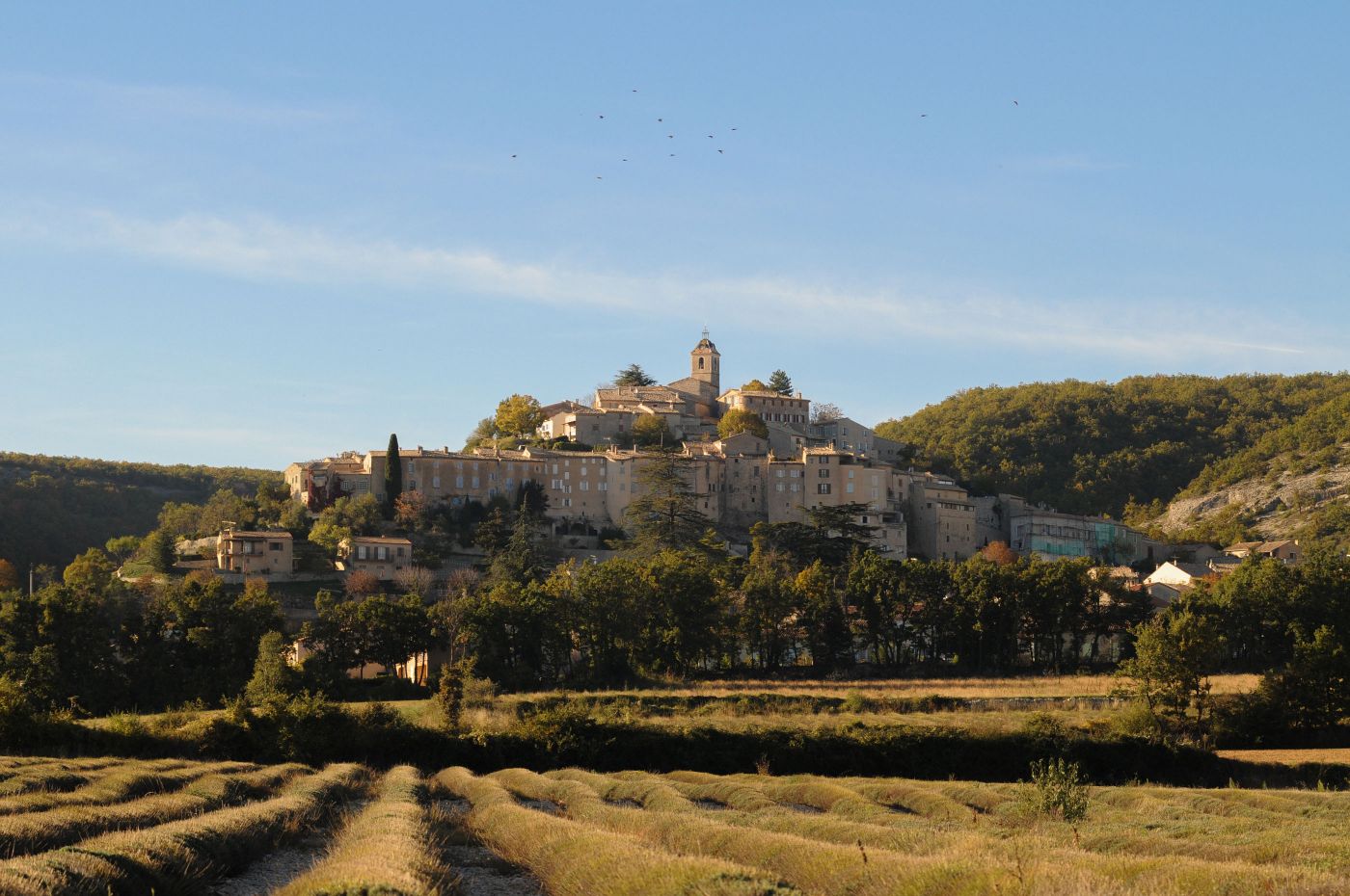 Randonnee-pedestre-haute-Provence-Safrantours-05.jpg