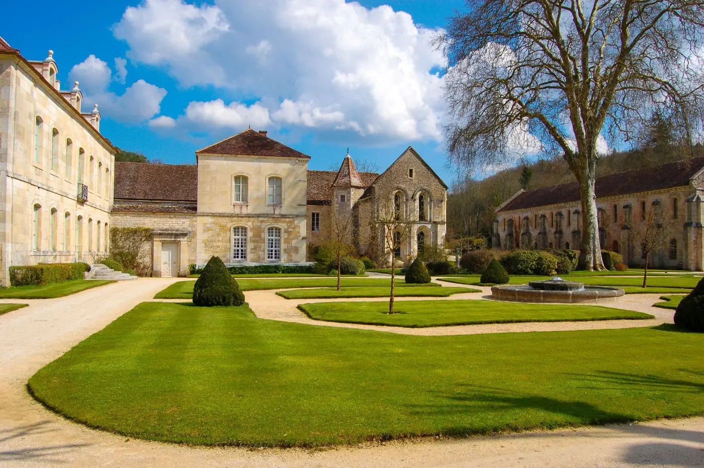 Safrantours_velo_Bourgogne_14.jpg