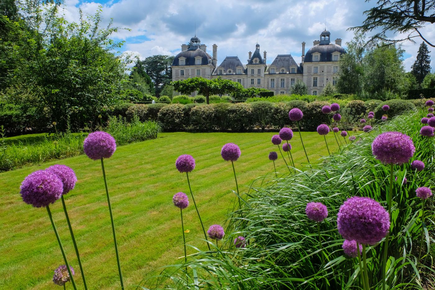 Chateaux_Loire_velo_Safrantours_14.jpg