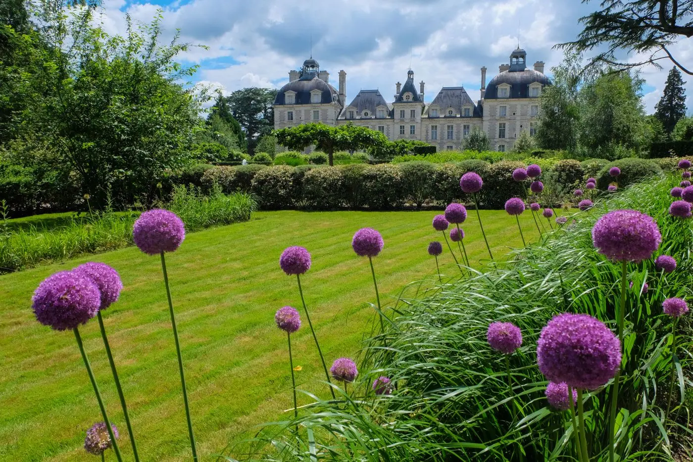 Chateaux_Loire_velo_Safrantours_14.jpg