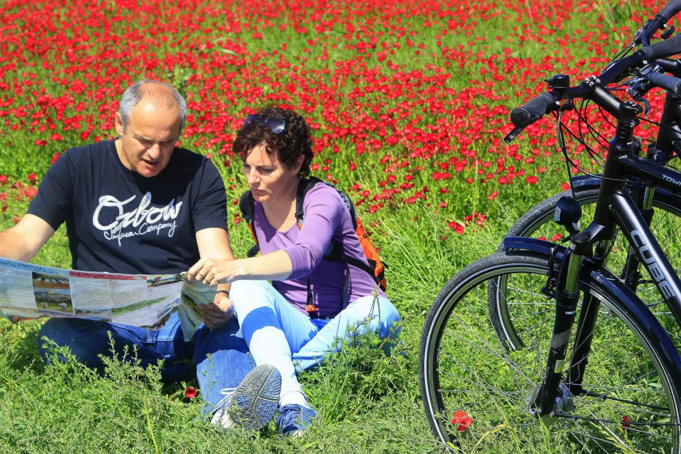Provence_Camargue_velo_Safrantours_1.jpg