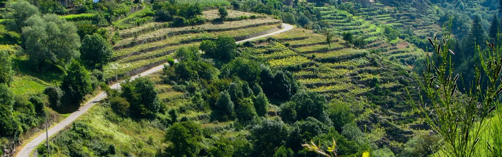 Dolce_via_Ardeche_velo_Safrantours_10.jpg