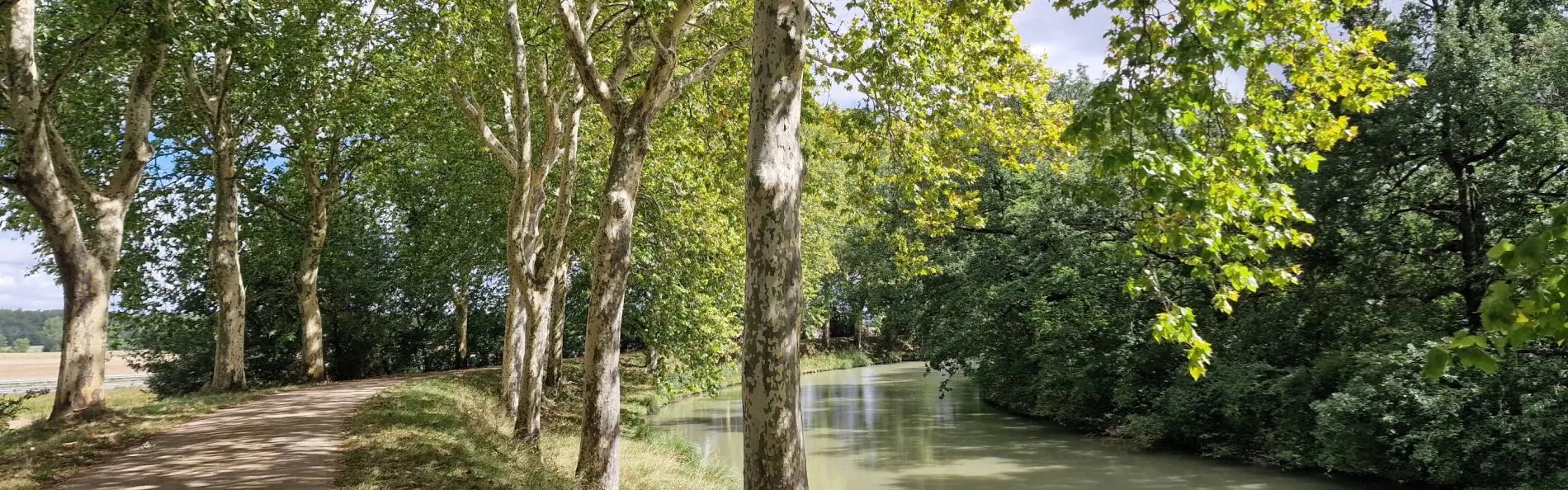 Canal_Midi_Safrantours_5.jpg