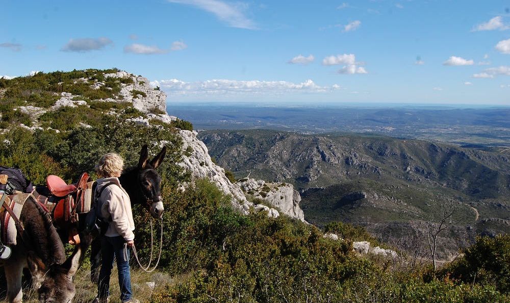 Larzac-Safrantours-04.JPG