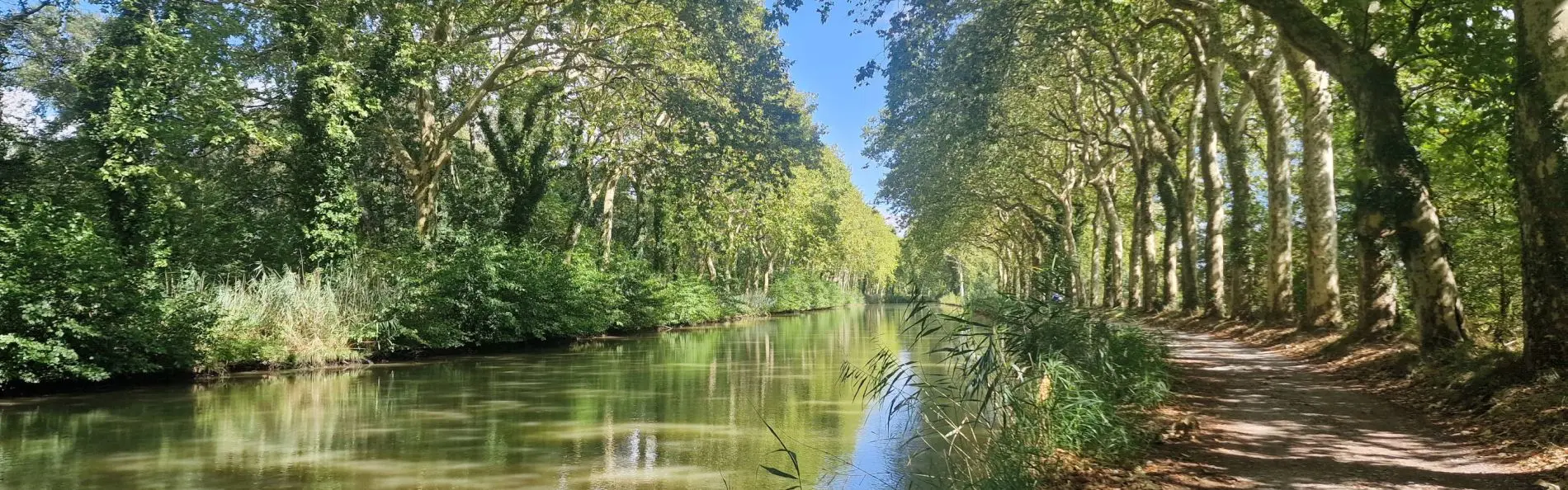 Canal_Midi_Safrantours_7.jpg