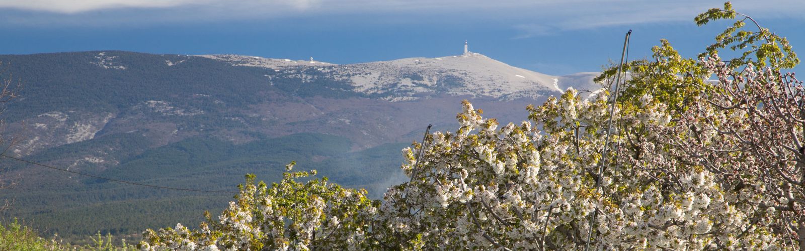 Mont_Ventoux_velo_Safrantours_3.jpg