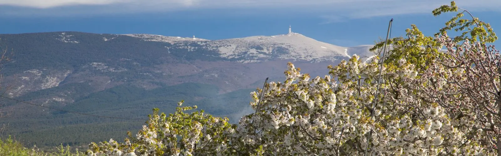 Mont_Ventoux_velo_Safrantours_3.jpg